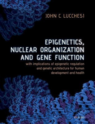 Epigenetics, Nuclear Organization & Gene Function: With implications of epigene,