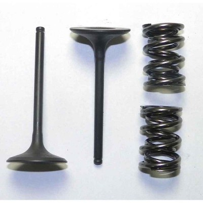 OEM Grade Intake Valve 2006-2008 Kawasaki KX450F Steel Kit 449cc Dirt Bike MX