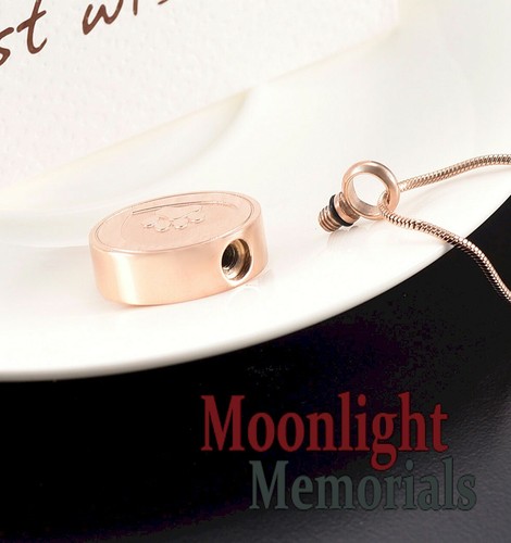 New Pet Paw Print Heart Cremation Urn Keepsake Ashes Memorial Necklace - Picture 11 of 15