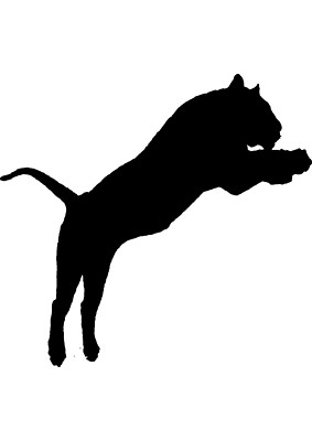 Riesiger XXXL Autoaufkleber Sticker Tiger Aufkleber