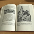 Foto 12 di 13