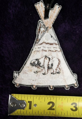Assorted Boy Scout Patches (Please select the ones you would like) - Picture 55 of 59