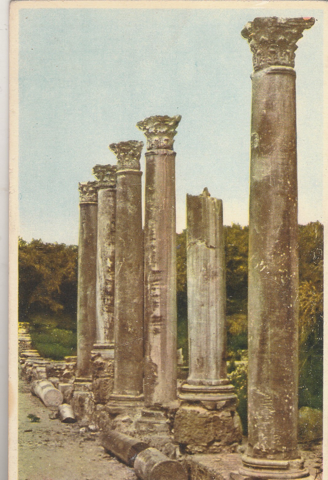 Foto 1 di 3