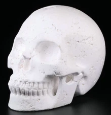 Huge 5.0" Howlite Carved Crystal Skull, Realistic, Crystal Healing