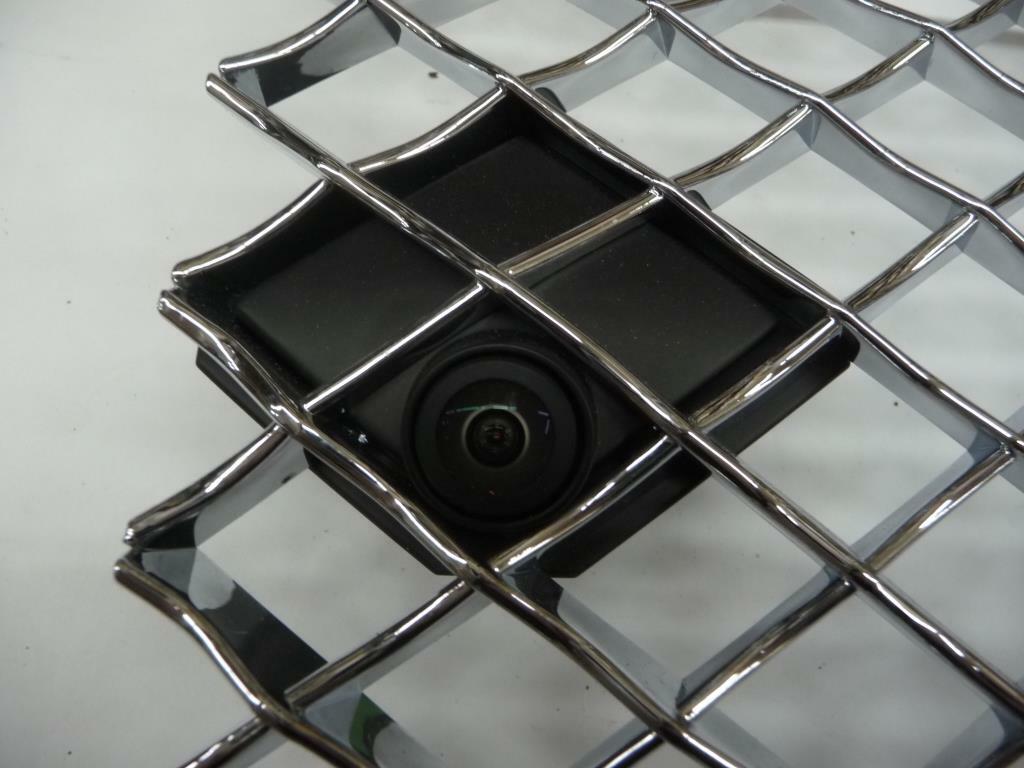 2020 Bentley Continental GT Front Left Driver Grille Mesh Chrome 3SD853683A OEM