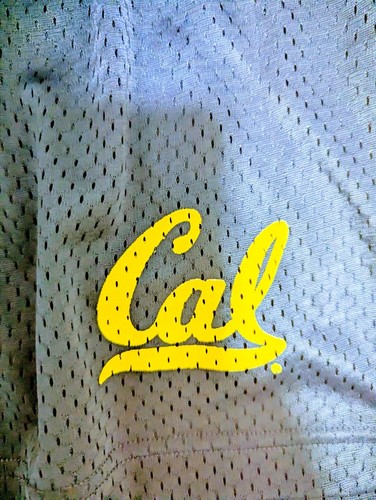Champion CA Golden Bears Shorts YOUTH XL (YXL) (14/16) Blue Nylon Stretch - Picture 3 of 4