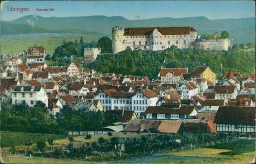 Ansichtskarte Tübingen Ammertal 1911 (Nr.9334)