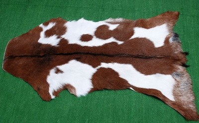 Luxus Ziegenfell Teppich Haar auf Fläche Teppich Größe 32''x18'' Tierleder Ziegenfell 3727