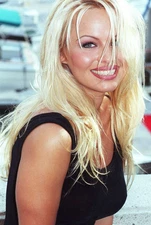 BEAUTIFUL PAMELA ANDERSON 8X10 Photo