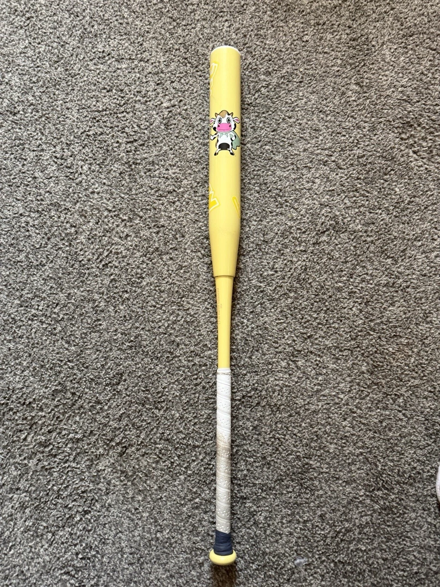 Batte De Softball Worth Bedlam 2024 - Phil Matte - 13,5 XL