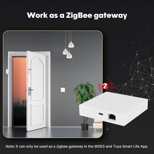 Zigbee Matter Thread Gateway Smart Home Bridges Matter Hub Support Voice Control - Picture 3 of 19