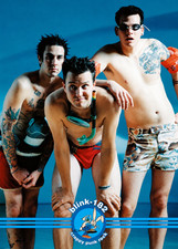 Blink 182 early years Poster 11x17 inch