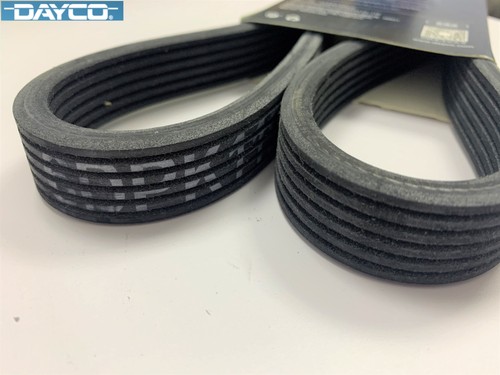 OEM DAYCO Engine V-Ribbed Serpentine Drive Belt For 2001-03 VW Golf MKIV 1J1 2.0 - Picture 5 of 5