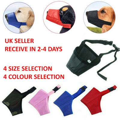 muzzle training for biting