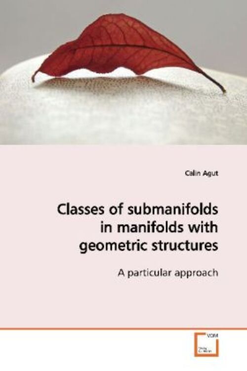 Thumbnail - Calin Agut | Classes Of Submanifolds In Manifolds With Geometric