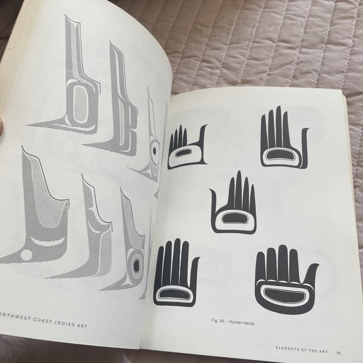 1976 Northwest Coast Indian Art Analysis Of Form by Bill
