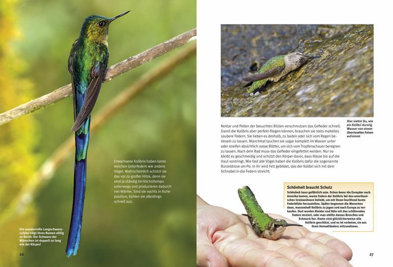 Thumbnail - Entdecke Die Kolibris Leonie Proscurcin Buch Entdecke - Die Reihe Mit