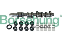 Borsehung Nockenwellensatz B11307 FüR VW Multivan T5 7HM 7HN 7HF 7EF 7EM 7EN Bus