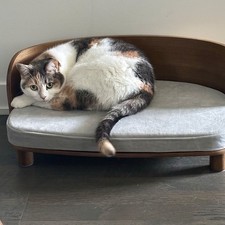 Unique Elevated Pet Sofa Wood Dog Couch Bed with Velvet Cushion for Puppy Kitty