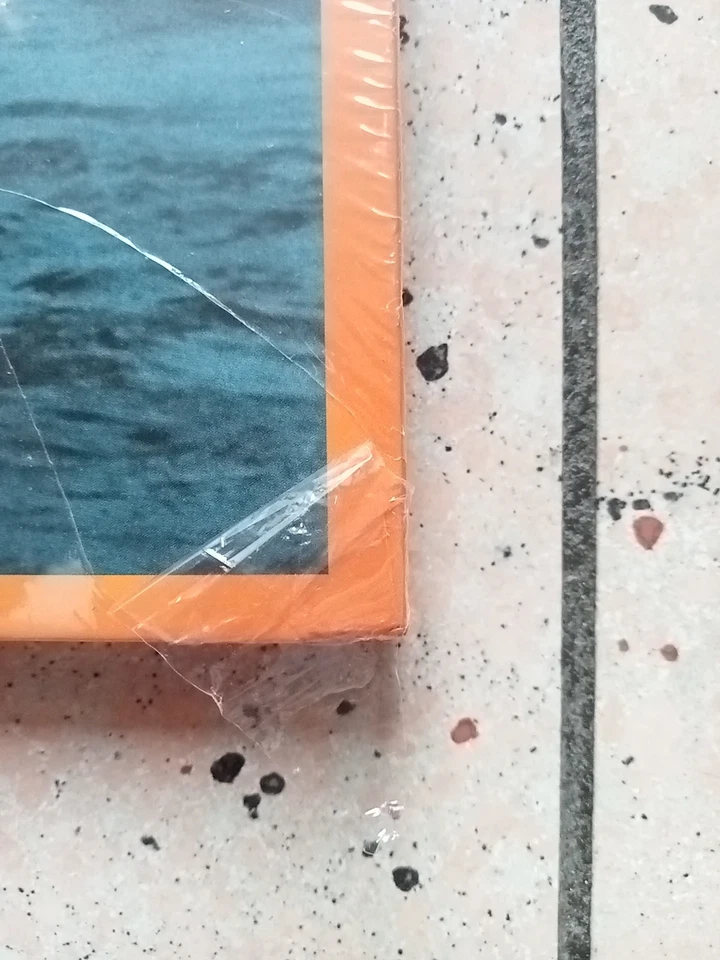 Toten Hosen "unter falscher flagge" limitierte Vinyl LP + 2CD NEU Album 40 Jahre - Bild 4 von 4