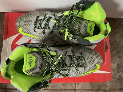 Nike Mens Lebron 12 XII Dunk Force Dunkman Size 6.5 Grey 