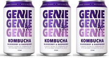 GENIE LIVING DRINKS Kombucha, Blueberry & Raspberry, Fermented for 10 Days, Gut