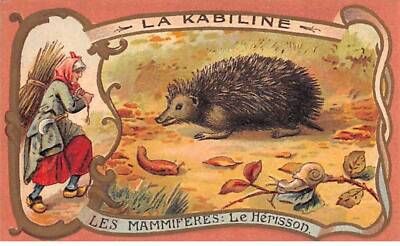 Chromos -COR11542 - La kabiline - Die Säugetiere - Der Igel - ca. 6x10cm