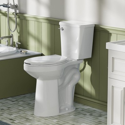 21'' Tall Two Piece Toilet for Seniors Extra High ADA Comfort Bowl 12  Rough In