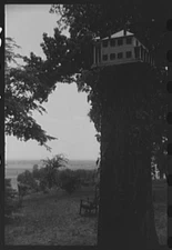 Old Plantation Home near Eutaw,Alabama,AL,Greene County,FSA,May 1941,2
