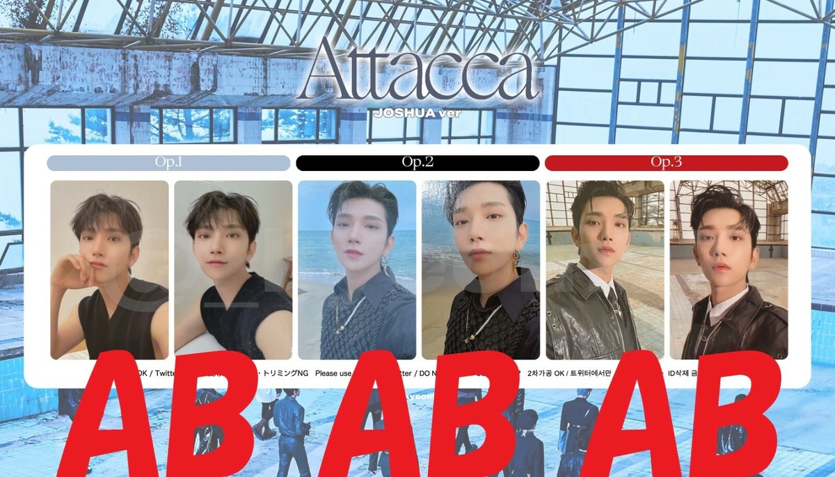 SEVENTEEN Attacca ジョシュア s-l1200.jpg