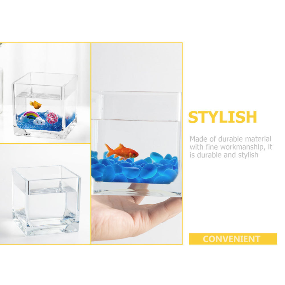 2 Count Mini Fish Tank PC Terrarium Small Plastic Containers eBay