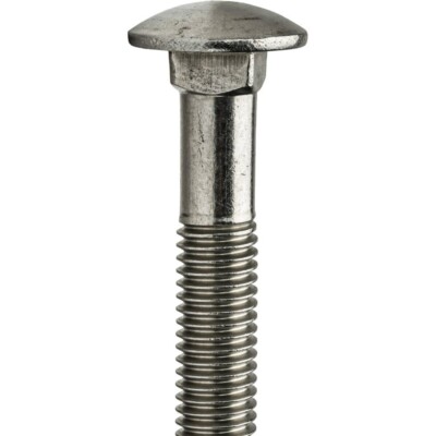 1/2''-13 x 8'' Stainless-Steel Carriage Bolt (30-Pack)