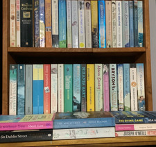 Paperback Book Joblot  X45 Mostly Fiction - Thriller, Romance, Murder