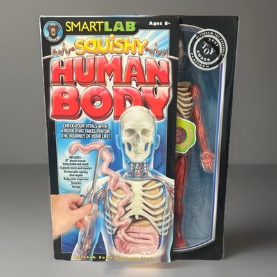 SmartLab Squishy Human Anatomy Toy Coffret Corps Human Educational
