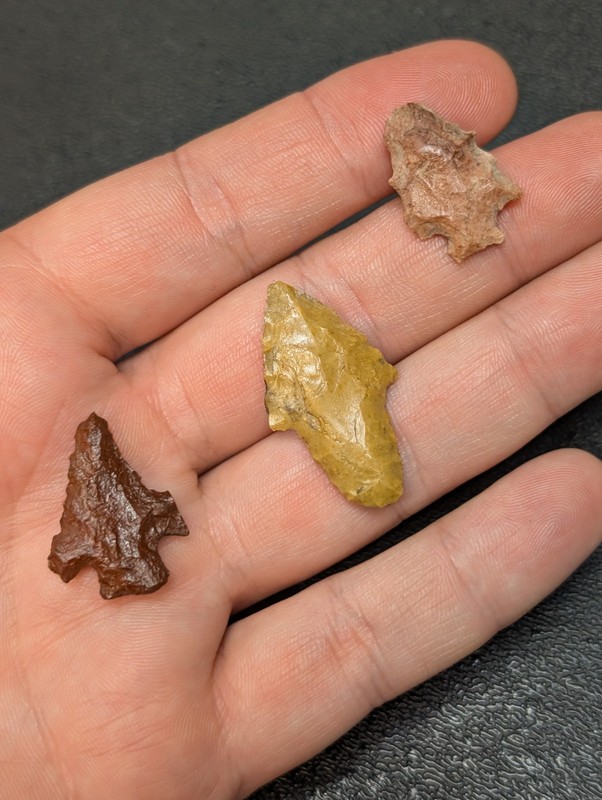 Nice Group Of Birdies Arrowheads Artifacts from Vernon Parish Louisiana 