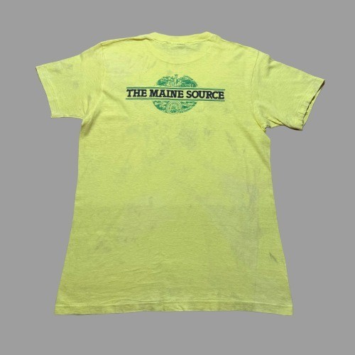 Vintage 70s Hanes Poland Spring The Maine Source Promo T-Shirt USA Made - Medium - Picture 8 of 12