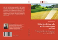 Alaeddinne Eljamassi | Utilisation SIG Dans La Gestion Des Risques Routiers