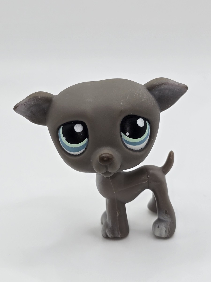 Littlest Pet Shop Authentic #319 Gray Greyhound Teal Eyes LPS