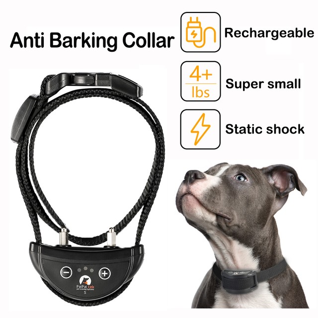 fwacc petsmart alliance adoption center