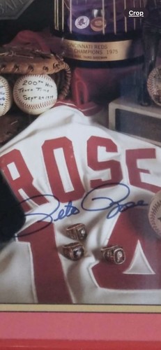 Pete Rose handsignierter Druck gerahmt - Bild 2 von 2