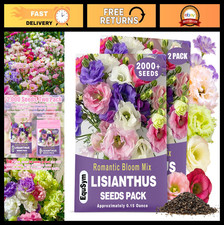 2000 Mixed Color Lisianthus Seeds - Non-GMO Perennial Eustoma for Garden Indo