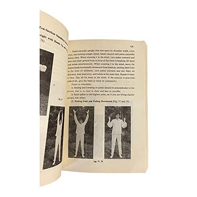 300 QUESTIONS ON QIGONG EXERCISES (CHINESE EDITION) Lin Housheng And Luo Peiyu