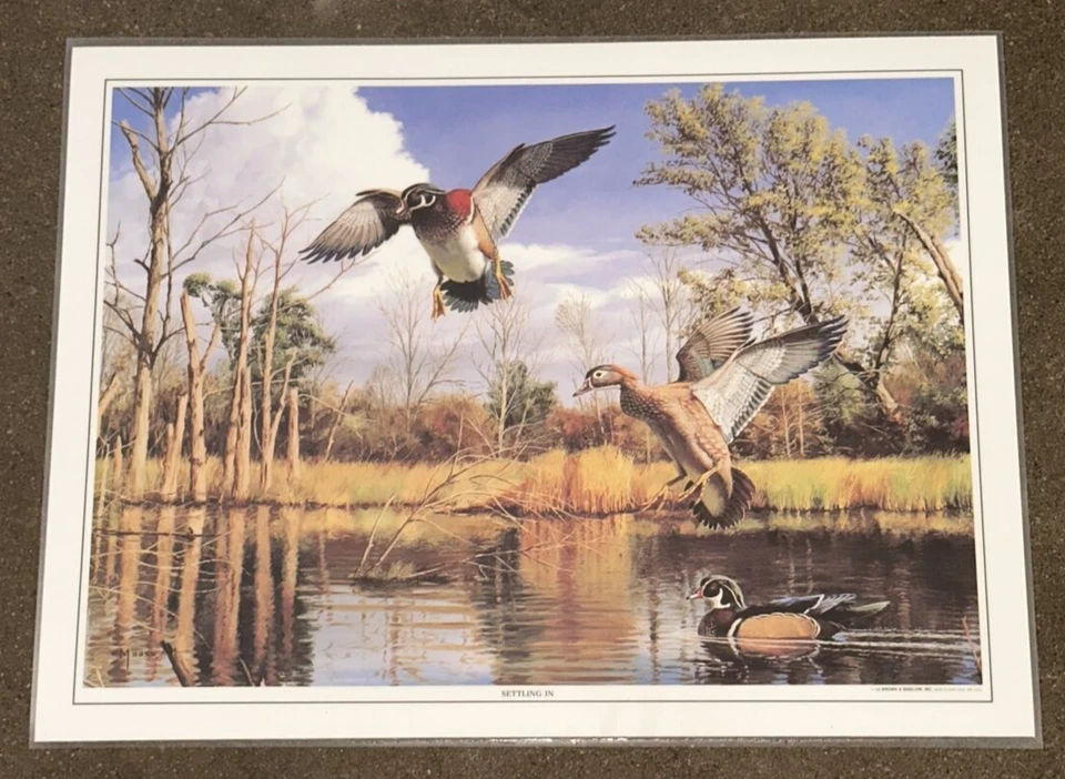 Juego de manteles individuales Ducks Unlimited Setling In x4 vintage marrón y Bigelow laminados Foto 3 de 4