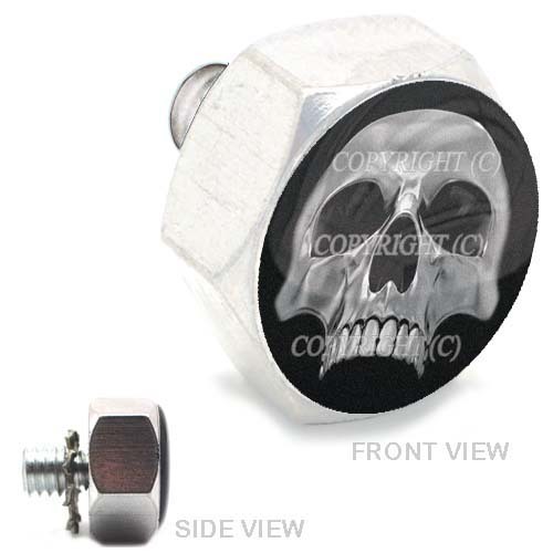 Polished Billet Hex Air Cleaner Bolt Harley - CHROME SKULL HALF