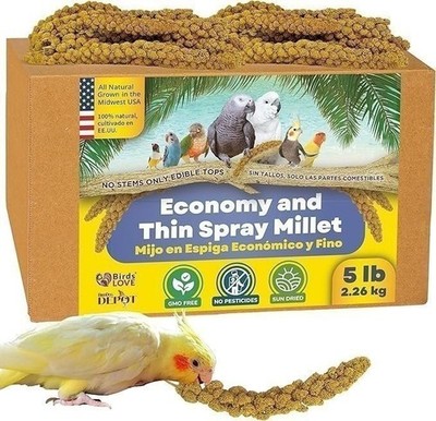 Birds LOVE Economy & Thin Special Spray Millet - Natural Bird Treat GMO-Free 5lb