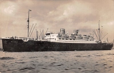 738635) Postcard Ships - Motor Ship St. Louis of the Hamburg America Line 