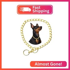 Chain Collar for Dogs,Metal Slip Link Training Heavy Duty Dog Collar Martingale
