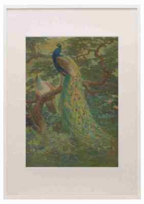 Ritter CR Indianer Pfau A3 A4 gerahmter Druck Bild