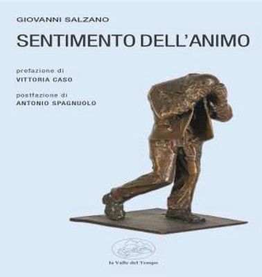 Neues Buch - Giovanni Salzano - Gefühl der Seele - Das Tal der Zeit