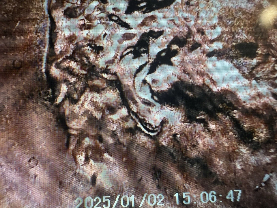 2025 Uncirculated Lincoln Shield Cent DDO DDR Doubled Ear Lobe - Image 2 of 4